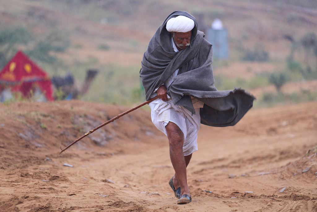 Narma Ram, a camel herder, walks towards his temporary tent as it drizzle at the annual Pushkar cattle fair, in the western Indian state of Rajasthan, Monday, Oct. 27, 2025. (AP Photo/Rajesh Kumar Singh)
