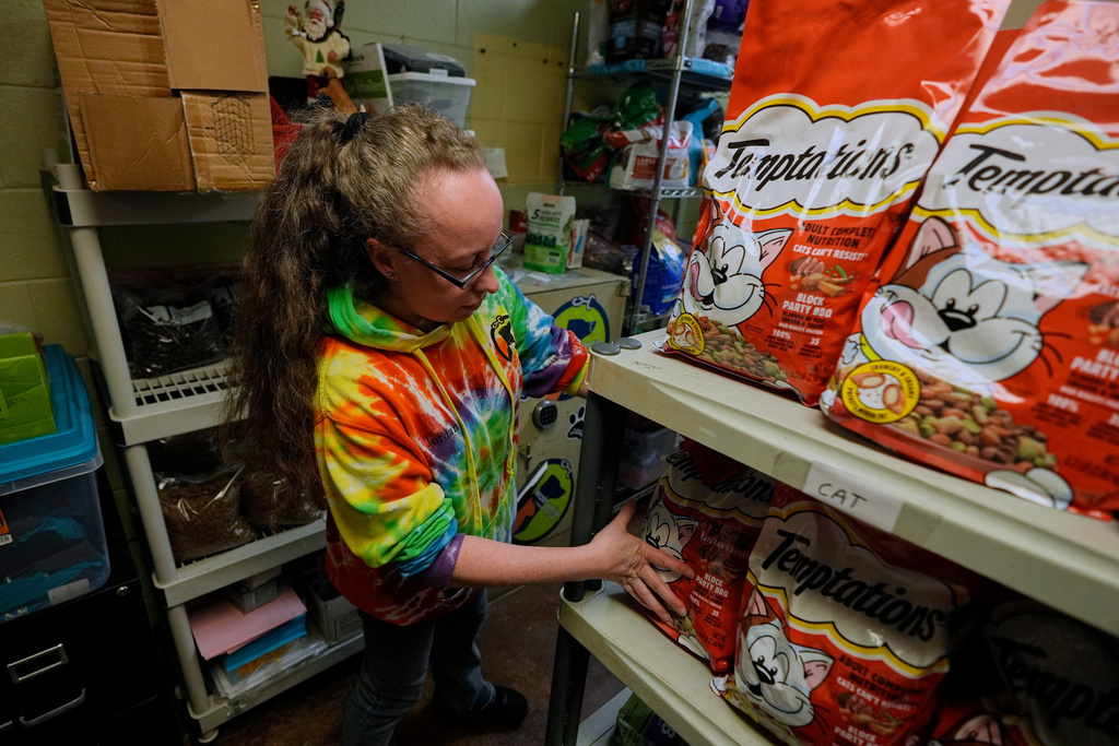 Jordan Robinson restocks a Pet food pantry, for families needing help to provide for their dogs and cats, at New Leash On Life animal shelter, Thursday, Nov. 6, 2025, in Lebanon, Tenn. (AP Photo/George Walker IV)