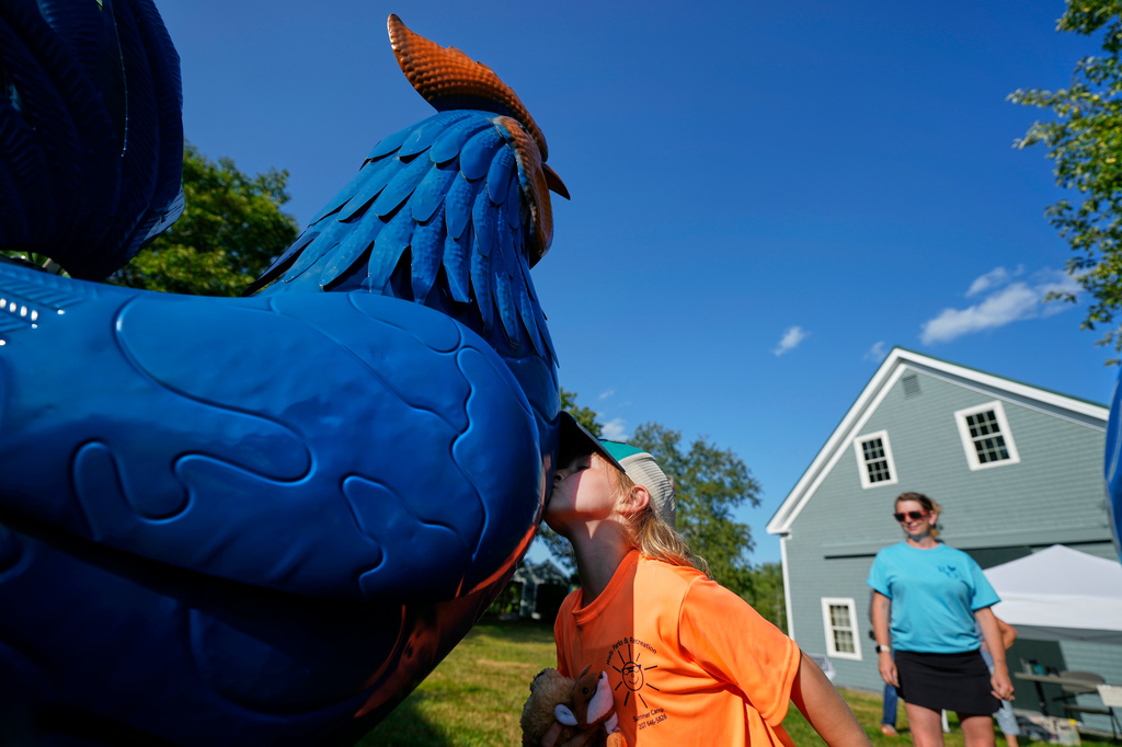Pyper Leblanc kisses a tin rooster goodbye after a visit to the Hilton Winn Farm in Ogunquit, Maine, Wednesday, July 22, 2026. (AP Photo/Robert F. Bukaty)