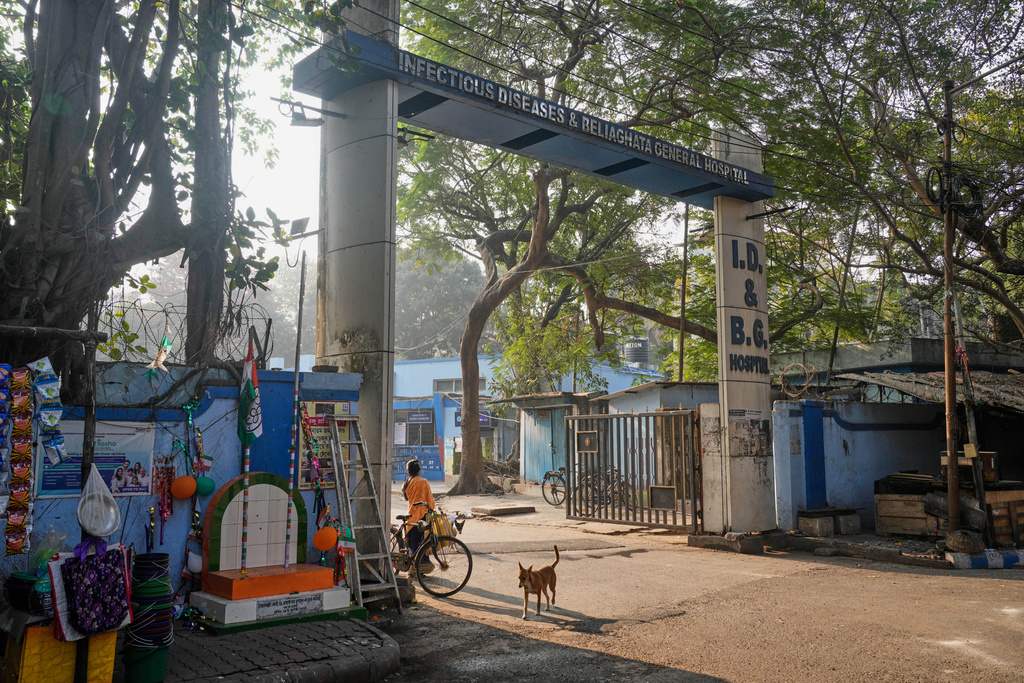 A stray dog roams at the entrance of the Infectious Diseases and Beliaghata General Hospital, in Kolkata, India, Wednesday, Jan. 28, 2026. (AP Photo/Bikas Das)