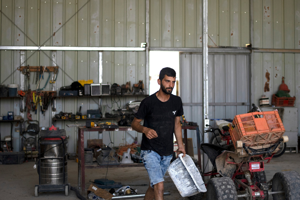FILE -Yinon Levi works on his farm in the South Hebron Hills, West Bank, May 12, 2024. (AP Photo/Maya Alleruzzo, File)