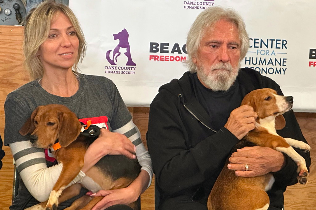 Pop star Debbie Gibson and Black Sabbath co-founder Terry "Geezer" Butler hold beagles that were purchased from a Dane County animal research facility on Tuesday, May 12, 2026, in Madison, Wis. (AP Photo/Scott Bauer)
