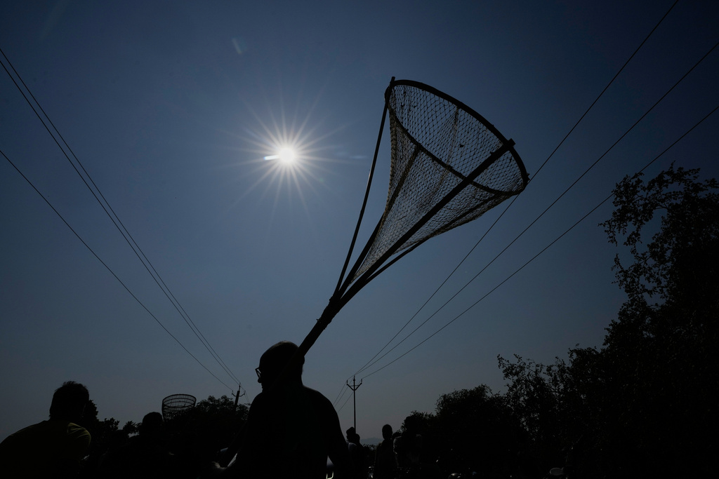 A villager with a fishing tool comes to participate in a community fishing as part of Bhogali Bihu celebrations which mark the end of the harvest season at Jalikhora village east of Guwahati, India, Tuesday, Jan. 13, 2026. (AP Photo/Anupam Nath)