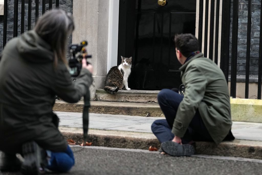 Larry the cat, Chief Mouser to the Cabinet Office, is watched by journalists at 10 Downing Street in London, Friday, Feb. 13, 2026.(AP Photo/Alastair Grant)