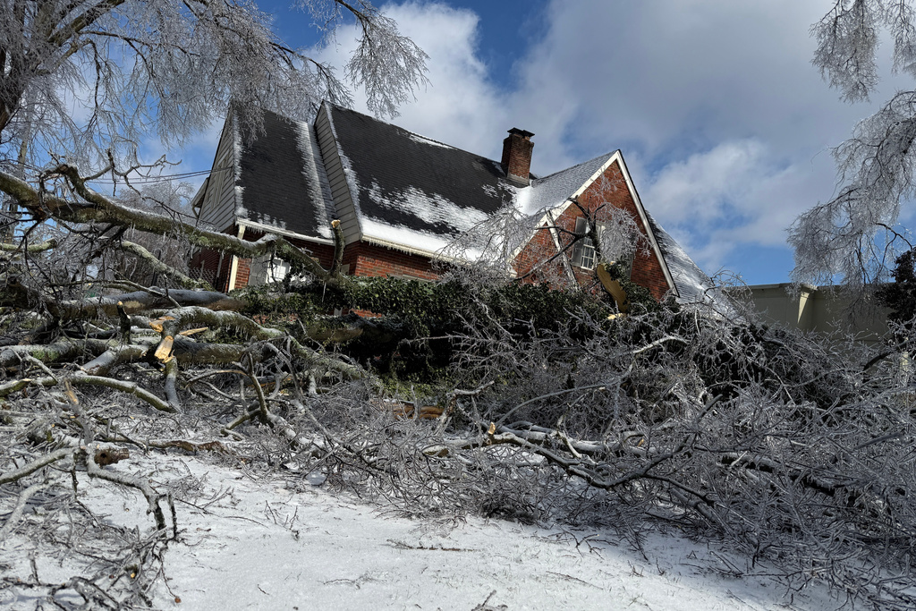 A tree downed by ice rests in a front yard just feet from a house in Nashville, Tenn., Monday, Jan. 26, 2026. (AP Photo/Travis Loller)