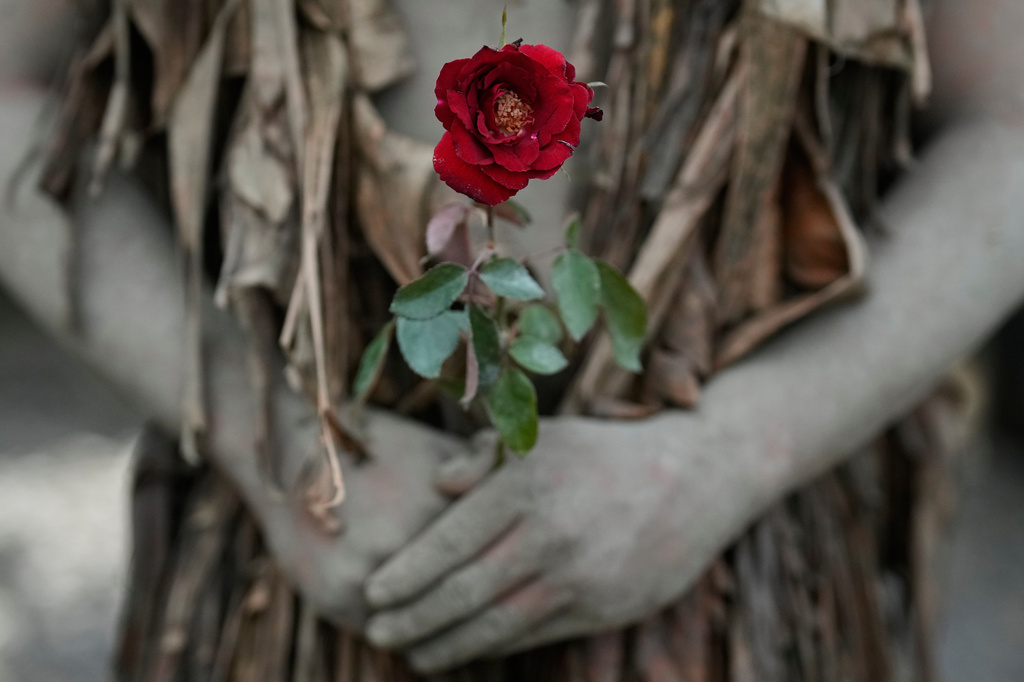A Catholic devotee covered in mud and dried banana leaves holds a rose during the mud people festival on the feast day of Saint John the Baptist at Bibiclat, Nueva Ecija province, northern Philippines on Wednesday, June 24, 2026. (AP Photo/Aaron Favila)