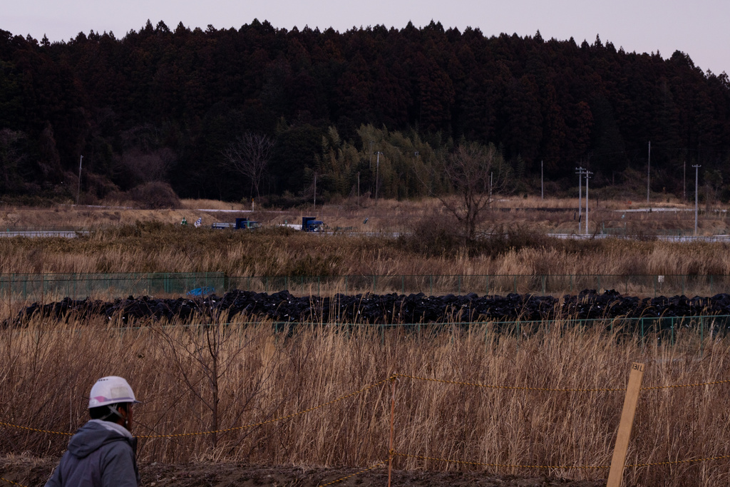 Black bags containing soil removed during decontamination work are stacked in Okuma, Fukushima Prefecture, Friday, Feb. 13, 2026. (AP Photo/Louise Delmotte)