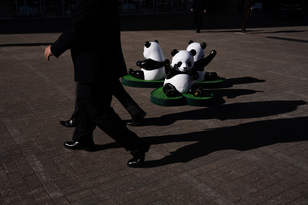 Pedestrians pass panda statues in a square near Ueno Zoo in Tokyo, Thursday, Jan. 8, 2026. (AP Photo/Louise Delmotte)