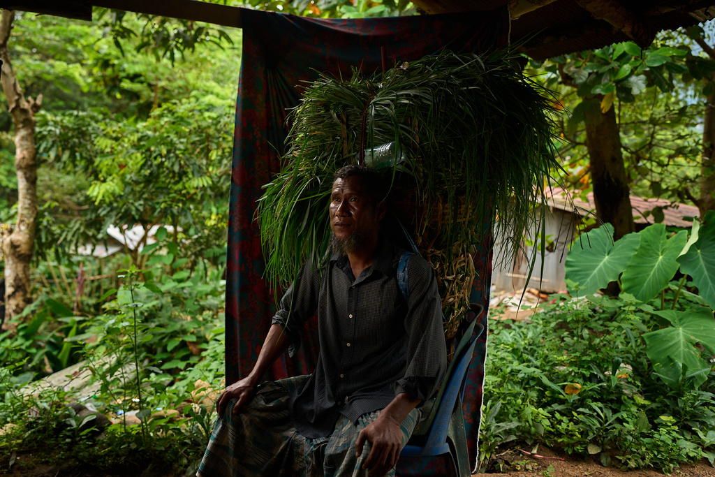 Mahmud Karmar poses for a portrait with a basket of grass he spent the morning gathering to feed his family's cow in the Tak province of Thailand, Thursday, Aug. 28, 2025. (AP Photo/Bram Janssen)