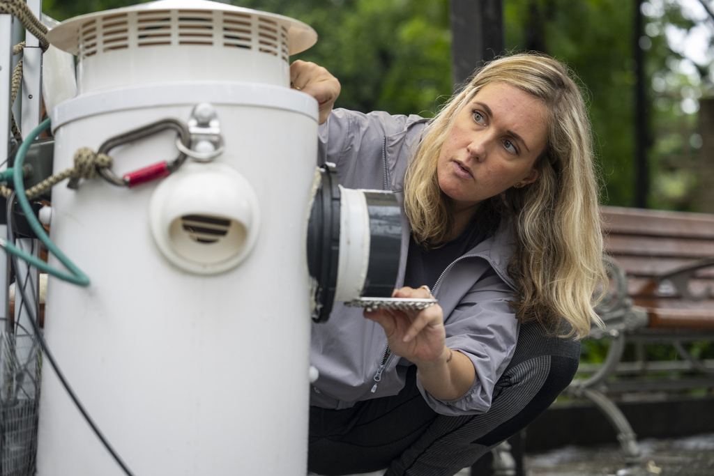 Astrid Andersson, a postdoctoral researcher at the University of Hong Kong, adjusts an artificial nest box for wild yellow-crested cockatoos in Victoria Park in Hong Kong, on Aug. 18, 2025. (AP Photo/Chan Long Hei)