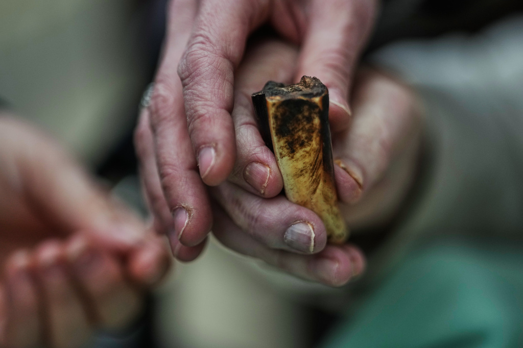 A hippopotamus's tooth is given to participants during a guided tour for people with dementia organized by Malteser Deutschland, part of the international Catholic aid organization Malteser Order of Malta, at the Zoo in Berlin, Germany, Thursday, March 26, 2026. (AP Photo/Markus Schreiber)