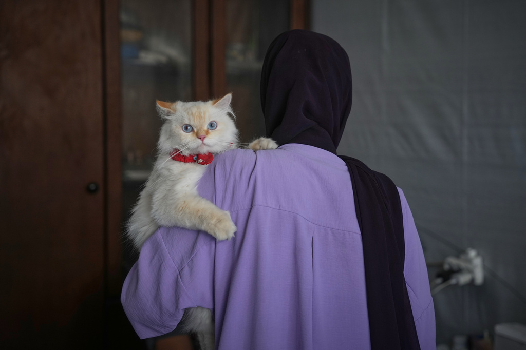 Saja al-Hattab, 27, carries her cat, Lulu, for a checkup at a veterinary clinic in Gaza City, Saturday, June 6, 2026. (AP Photo/Abdel Kareem Hana)