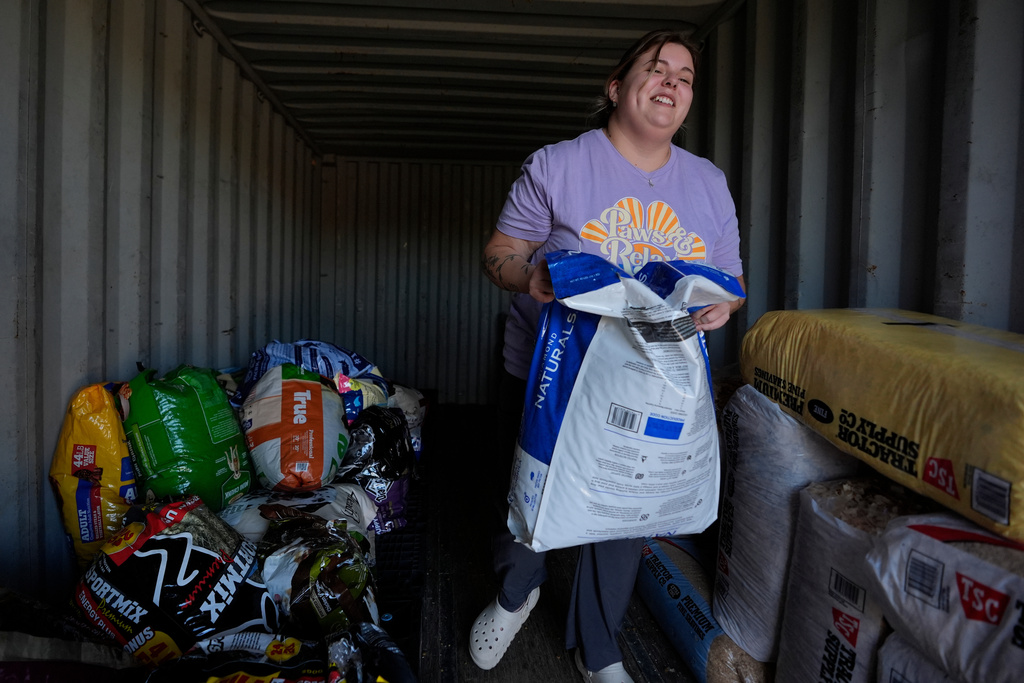 Danica Anderson restocks a Pet food pantry, for families needing help to provide for their dogs and cats, at New Leash On Life animal shelter, Thursday, Nov. 6, 2025, in Lebanon, Tenn. (AP Photo/George Walker IV)