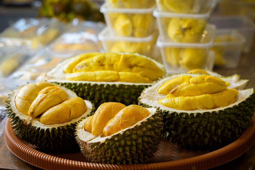 Freshly opened durians are displayed for sale at a durian stall in Petaling Jaya, on the outskirts of Kuala Lumpur, Malaysia, Monday, June 22, 2026. (AP Photo/Vincent Thian)