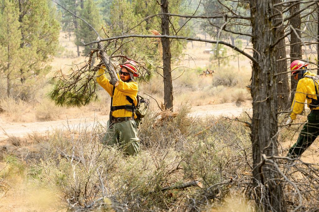 Firefighters clear vegetation as the Akawa Butte fire approaches on Friday, July 24, 2026, near Sisters, Ore. (AP Photo/Noah Berger)