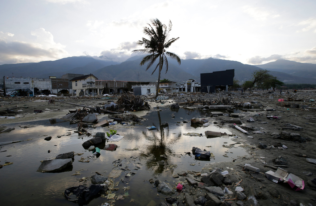 FILE - A lone tree stands in the debris from structures that were wiped out after a massive earthquake and tsunami hit Palu, Central Sulawesi, Indonesia, Thursday, Oct. 4, 2018. (AP Photo/Aaron Favila, File)