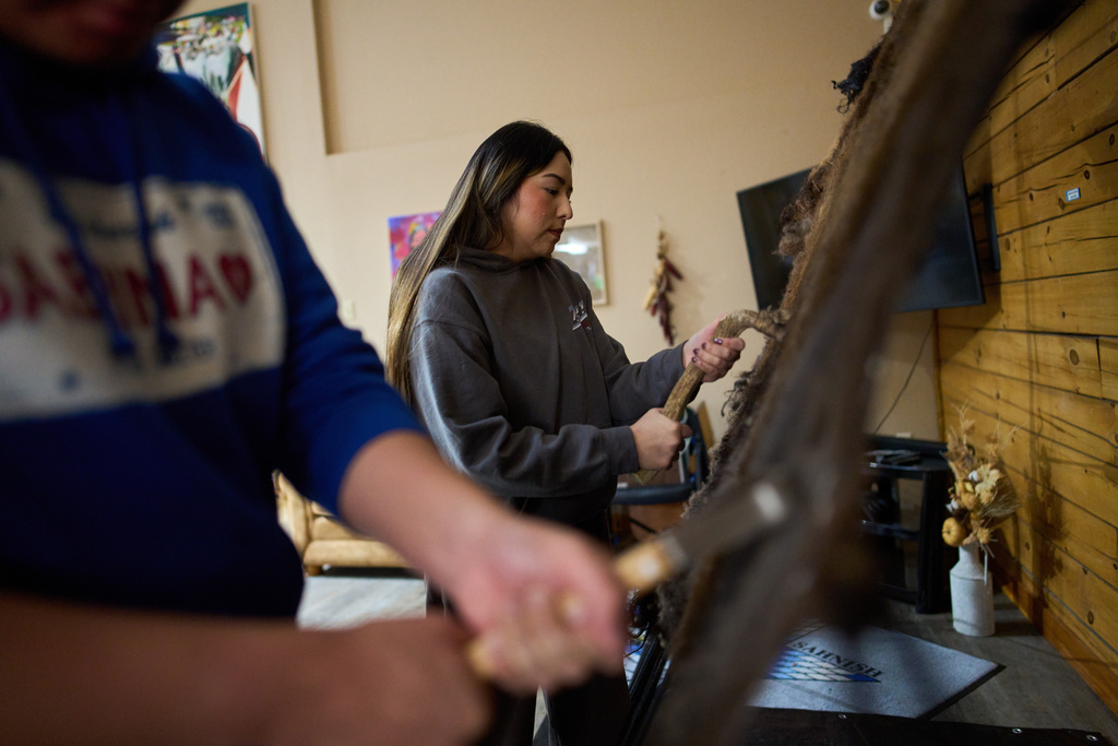 Zaysha Grinnell, a student in the Native American studies program at Nueta Hidatsa Sahnish College, scraps a bison hide Friday, Oct. 31, 2025, in New Town, N.D. (AP Photo/John Locher)