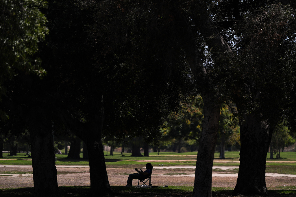 A person sits in the shade of trees in a nearly empty park in Los Angeles, Friday, July 31, 2026. (AP Photo/Jae C. Hong)