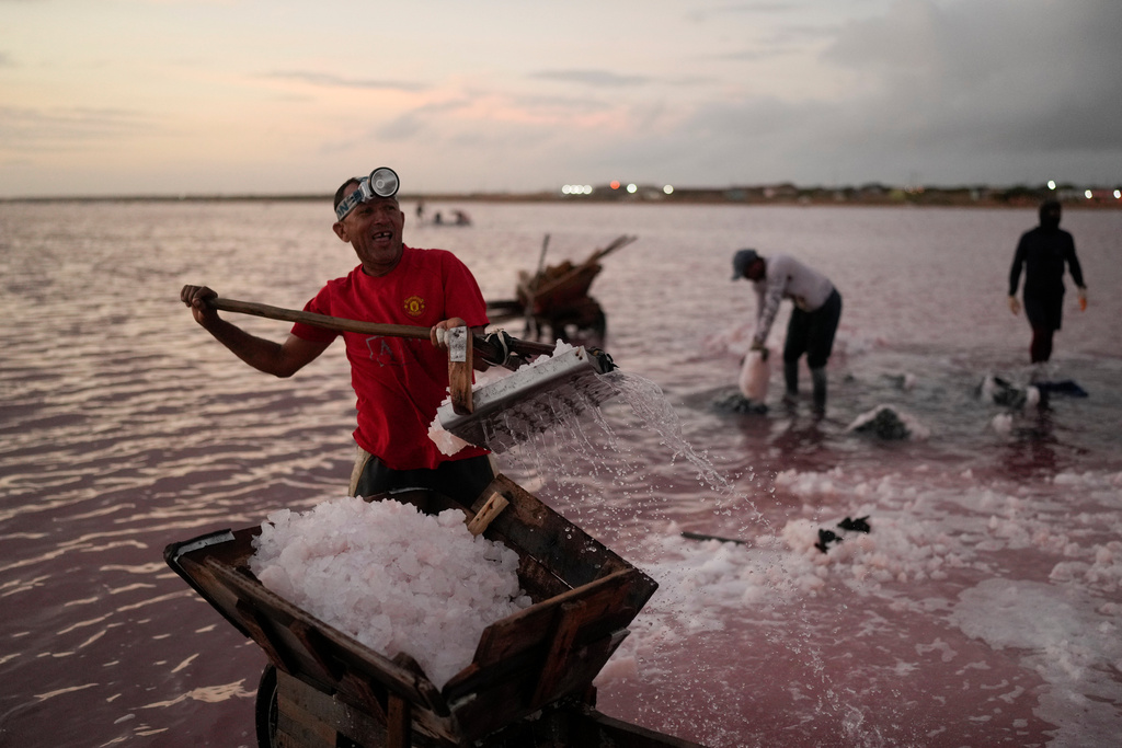 Francklin Fonseca works at the Salinas de Cumaraguas salt flats on the Paraguana Peninsula, Venezuela, Thursday, Jan. 15, 2026. (AP Photo/Matias Delacroix)