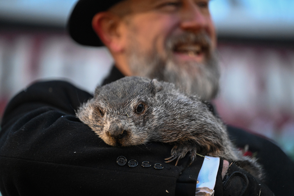Groundhog Club handler A.J. Dereume holds Punxsutawney Phil, the weather prognosticating groundhog, during the 140th celebration of Groundhog Day on Gobbler's Knob in Punxsutawney, Pa., Monday, Feb. 2, 2026. Phil's handlers said that the groundhog has forecast six more weeks of winter. (AP Photo/Barry Reeger)