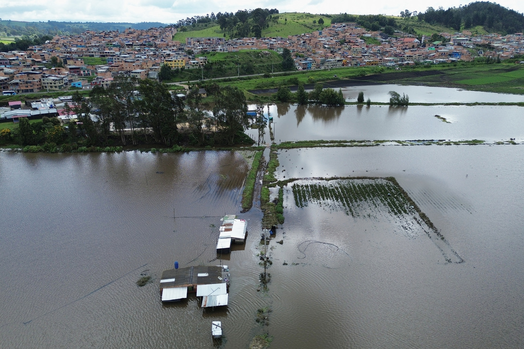 FILE - A strawberry farm is flooded after the Botello River overflowed due to heavy rain in Facatativa, Colombia, March 20, 2026. (AP Photo/Fernando Vergara, File)