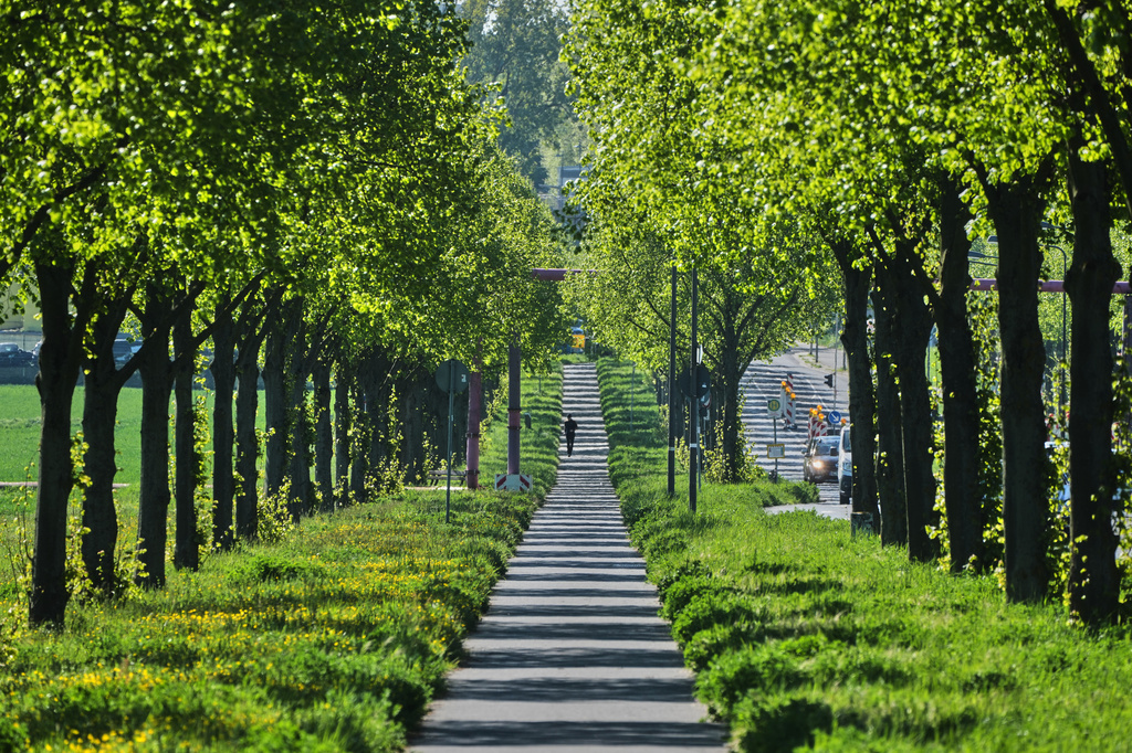 FILE - A man runs through an alley on the outskirts of Frankfurt, Germany, April 23, 2026. (AP Photo/Michael Probst, File)