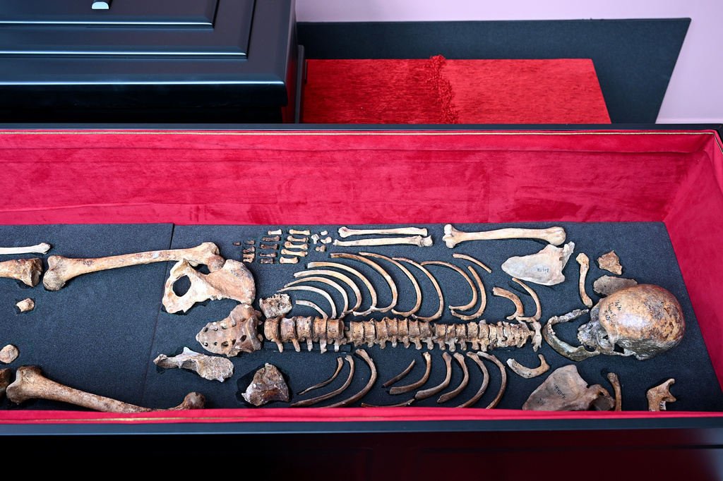 The remains of medieval ruler Czar Samuel are seen inside a coffin during a handover ceremony, in Thessaloniki, northern Greece, Saturday, Oct. 3, 2026. (AP Photo/Giannis Papanikos)
