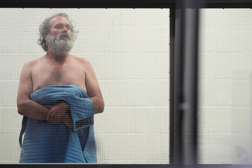 FILE - Jimmy Wayne Carwyle appears during an arraignment in Los Angeles, Thursday, May 8, 2025. (AP Photo/Jae C. Hong, Pool, File) FILE - Jimmy Wayne Carwyle appears during an arraignment in Los Angeles, Thursday, May 8, 2025. (AP Photo/Jae C. Hong, Pool, File)