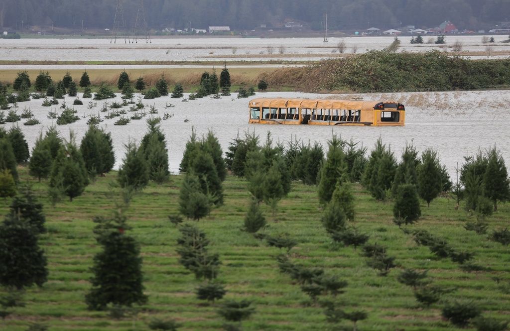 Portions of Stocker Farms remains underway Monday afternoon in Snohomish, Wash., on Monday, Dec. 15, 2025. (Kevin Clark/The Seattle Times via AP)