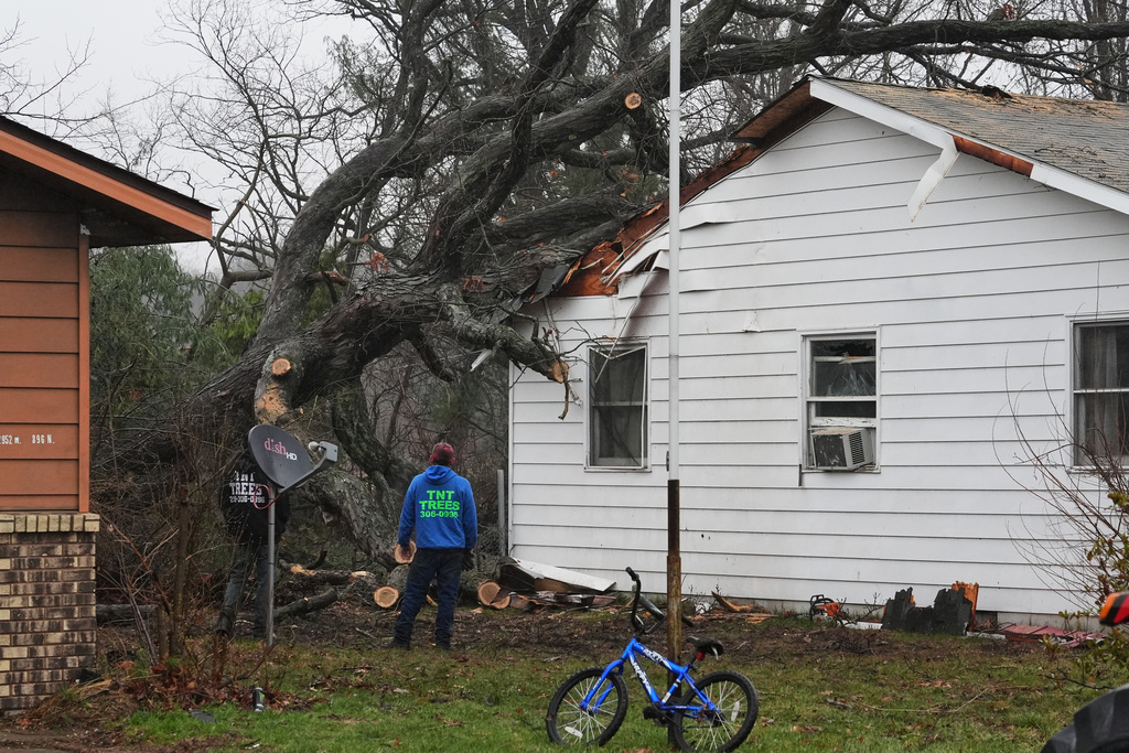 Toppled trees lean against a home in the aftermath of a powerful storm that ripped through the area a day earlier in Lake Village, Ind., Wednesday, March 11, 2026. (AP Photo/Nam Y. Huh)