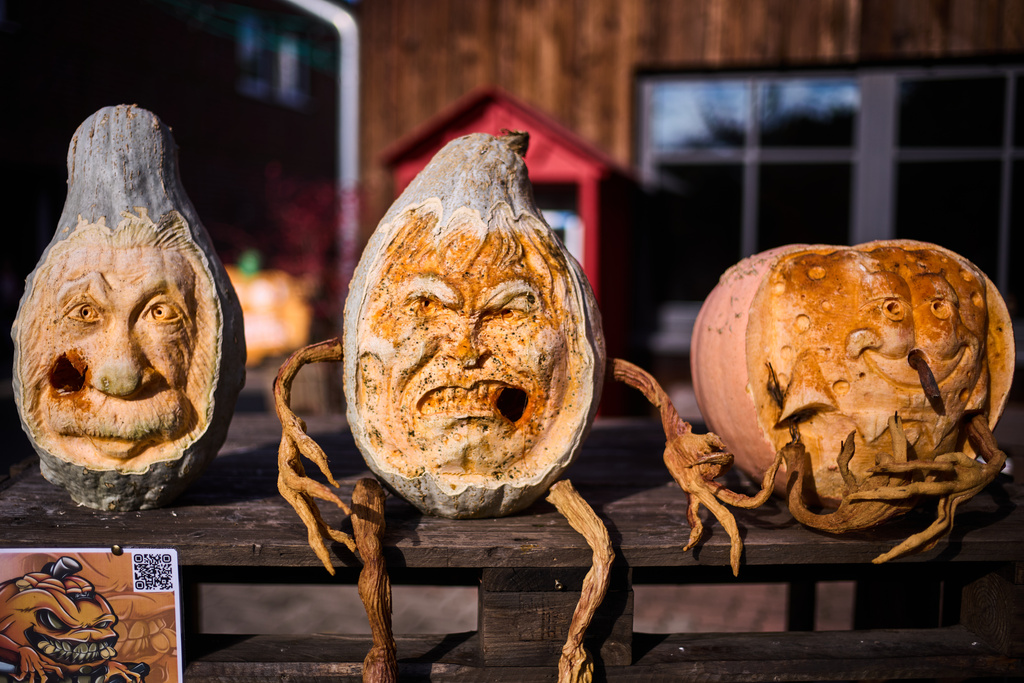 Carved gourds are displayed at Klaistow farm’s annual pumpkin festival, which this year celebrates “powerful women,” in Beelitz near Berlin, Germany, Tuesday, Oct. 21, 2025. (AP Photo/Markus Schreiber)