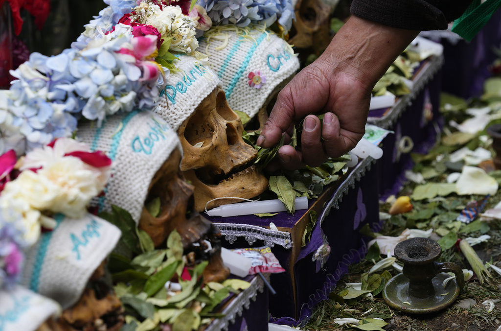 FILE - A person puts coca leaves into the mouth of a decorated, human skull on display at the General Cemetery, as an offering during the annual "Natitas" festival, a tradition marking the end of the Catholic holiday of All Saints in La Paz, Bolivia, Nov. 8, 2023. (AP Photo/Juan Karita, File)