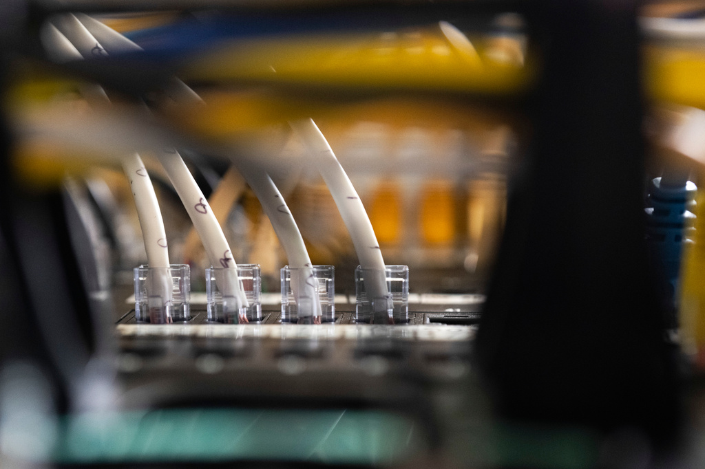 FILE - Ethernet cables are seen in Portland, Ore., on June 6, 2024. (AP Photo/Jenny Kane, File)