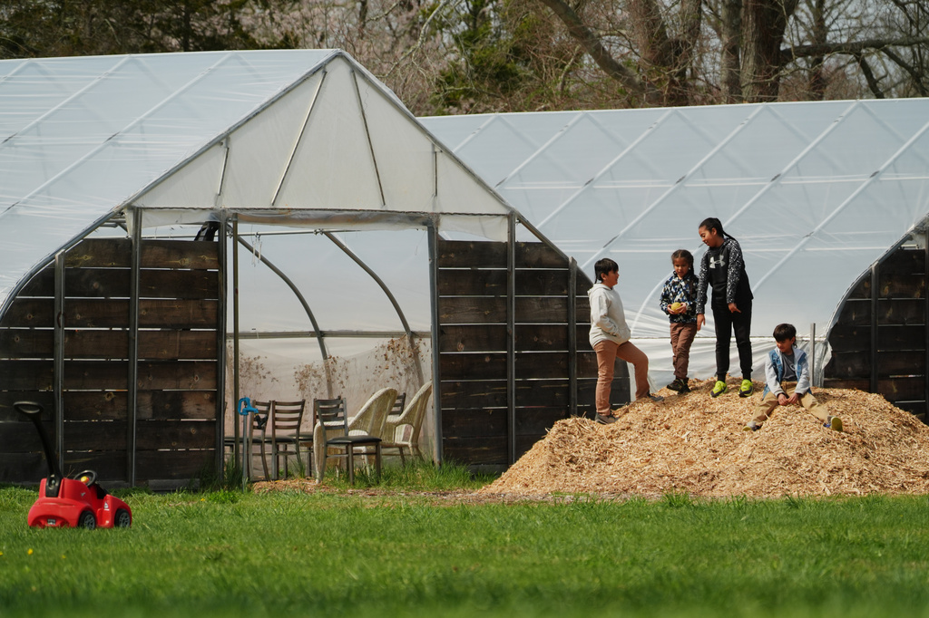 Sowaniu Spears, from left, Tishominko Spears, Quinobeguin Spears Fulton and Giizhig Spears, play at their grandparents' farm Tuesday, April 21, 2026, in Hopkinton, R.I. (AP Photo/Joshua A. Bickel)