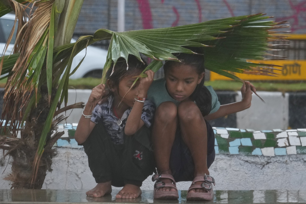 Girls take shelter under palm leaves during a monsoon shower in Mumbai, India, Sunday, June 21, 2026. (AP Photo/Rafiq Maqbool)
