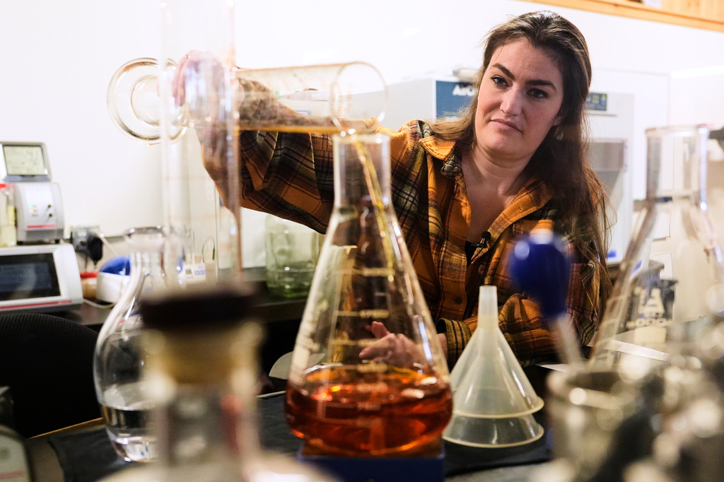 Meghan Ireland, the chief blender at the WhistlePig whisky distillery, pours a sample into a beaker in the lab Monday, April 6, 2026, in Shoreham, Vermont. (AP Photo/Robert F. Bukaty)