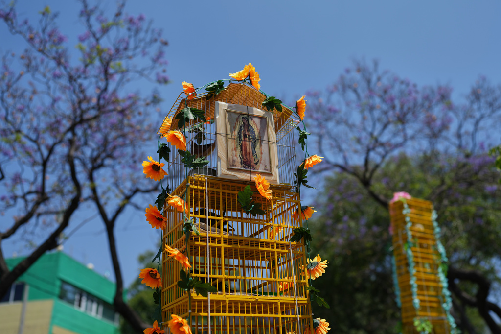 Decorated cages sit on a road during an annual pilgrimage of bird sellers to the Basilica of Guadalupe in Mexico City, Sunday, March 29, 2026. (AP Photo/Eduardo Verdugo)