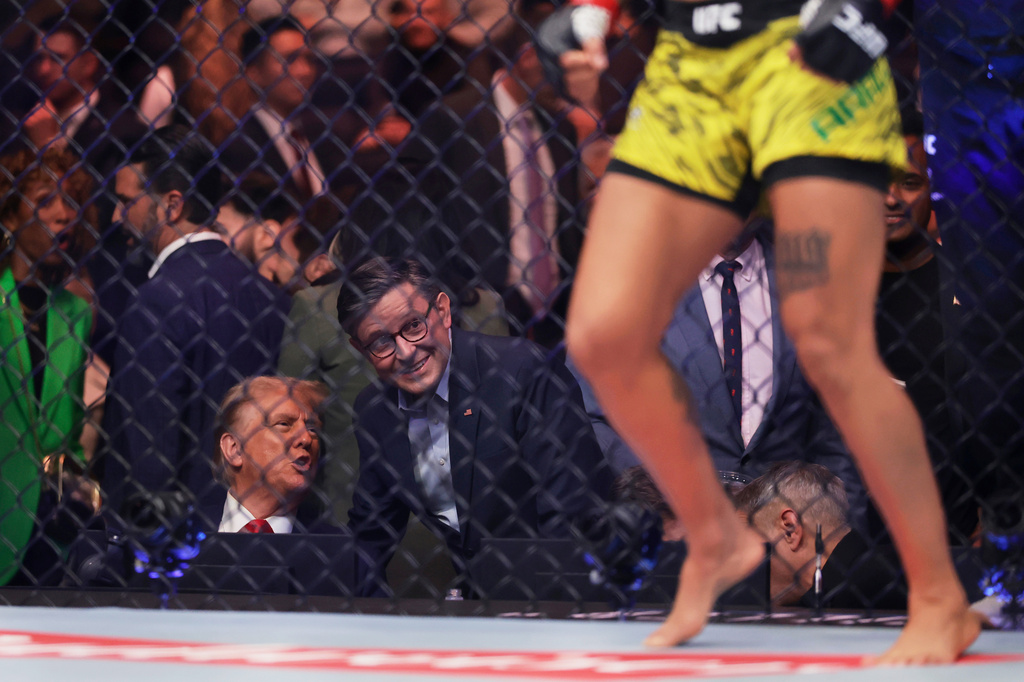 FILE - President-elect Donald Trump talks to House Speaker Mike Johnson, R-La., at a UFC 309 mixed martial arts flyweight title bout, Nov. 16, 2024, in New York. (AP Photo/Adam Hunger, File)