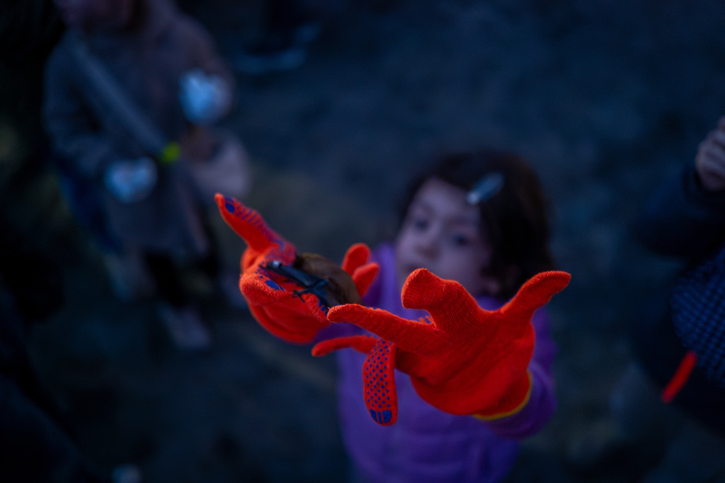 A girl releases a rescued bat during a ceremony of returning bats to the wild in Kyiv, Ukraine, Saturday, April 4, 2026. (AP Photo/Dan Bashakov)