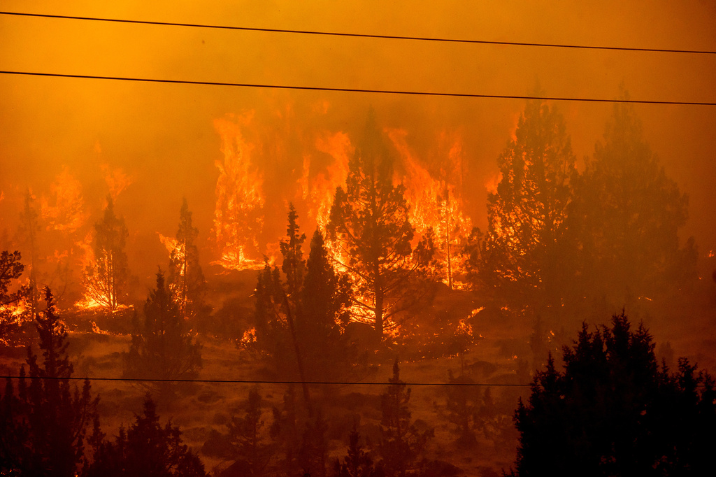 Flames consume vegetation along Jackson Trail Rd. as the Bench fire burns on Saturday, July 25, 2026, in Warm Springs, Ore. (AP Photo/Noah Berger)