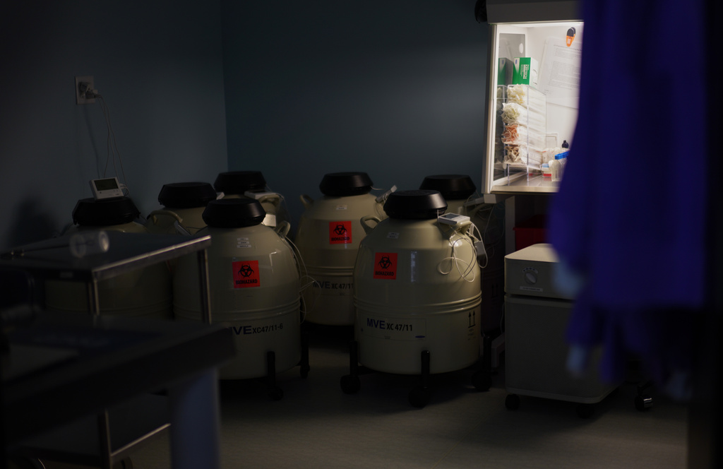 Tanks containing frozen eggs and embryos preserved in liquid nitrogen are stored at Rejoice Fertility, Jan. 8, 2026, in Knoxville, Tenn. (AP Photo/Jessie Wardarski)