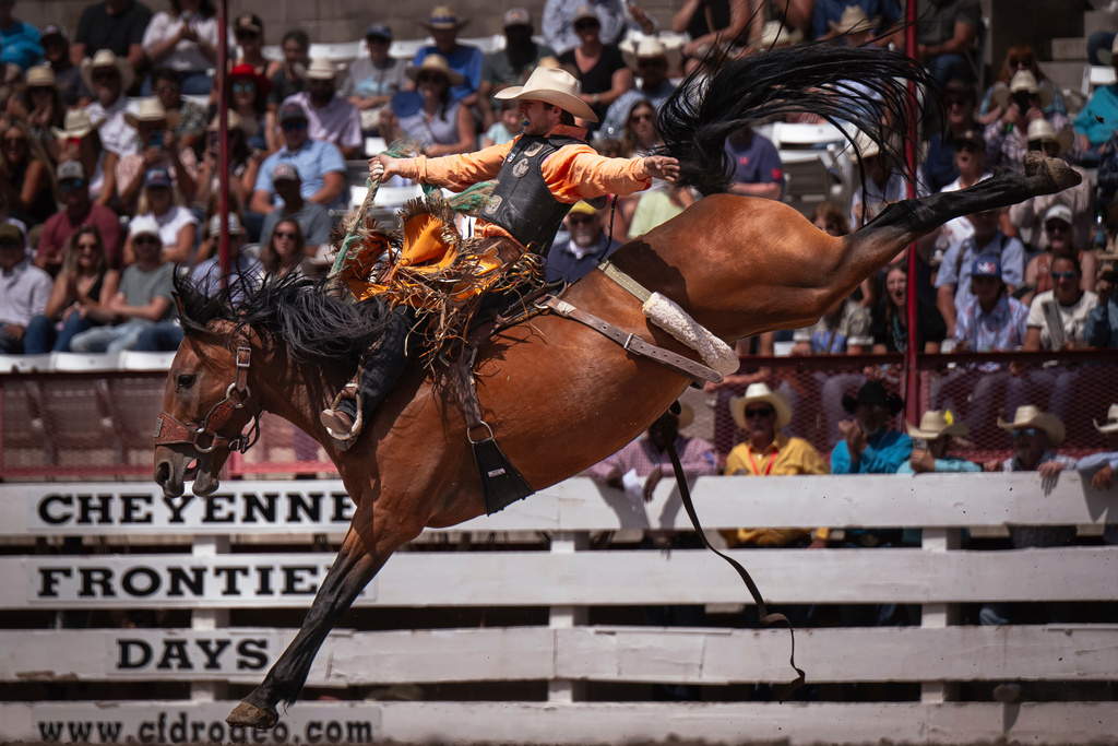 FILE - Brody Cress, of Hillsdale, Wyo., competes in saddle bronc riding during the 129th anniversary Cheyenne Frontier Days Rodeo on Championship July 27, 2025, in Frontier Park Arena. (Milo Gladstein/The Wyoming Tribune Eagle via AP, File)