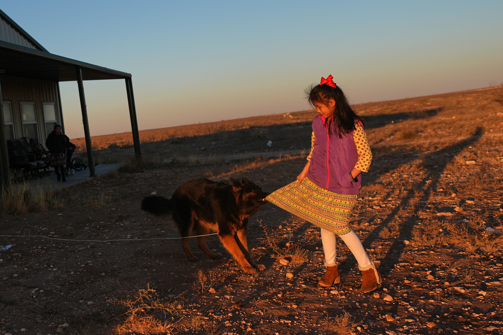 Zhang Qimiao plays with Li Chuanliang's German shepherd, Hardy, as the sun sets in the Mayflower Church community in Midland, Texas, Jan. 18, 2025. (AP Photo/Rebecca Blackwell)