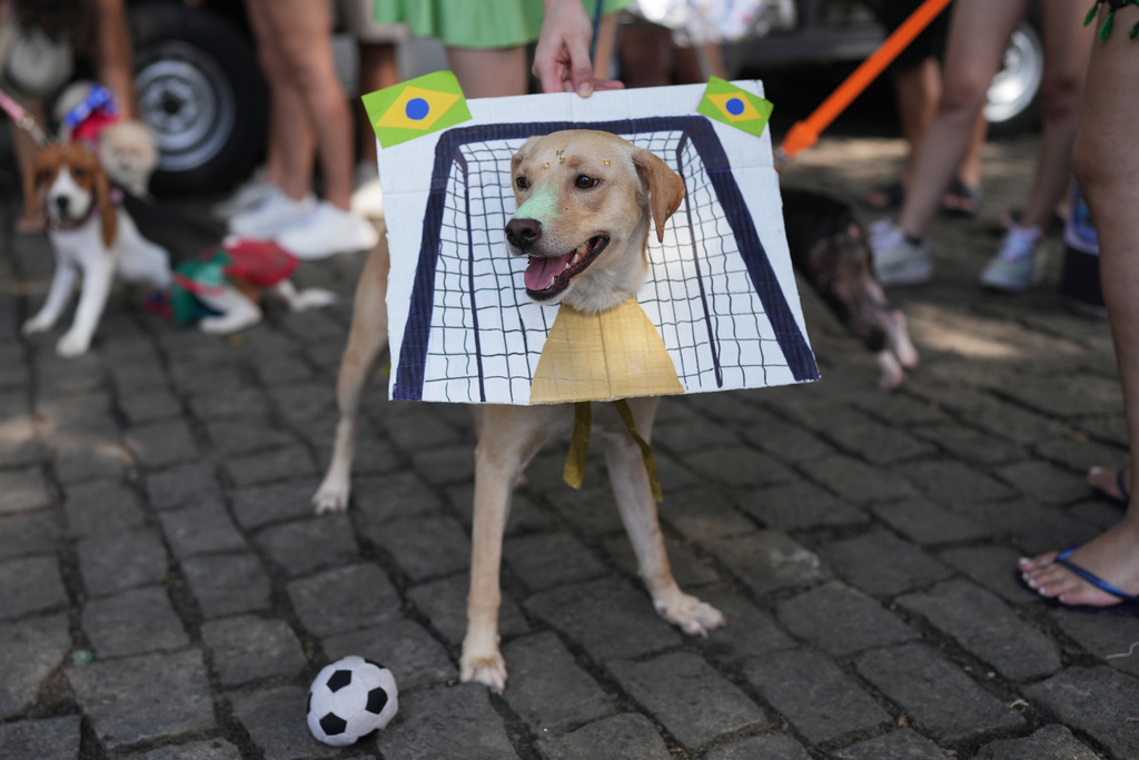 A dog wears a cardboard soccer net costume during the "Blocao" Carnival dog parade in Rio de Janeiro, Saturday, Feb. 14, 2026. (AP Photo/Silvia Izquierdo)