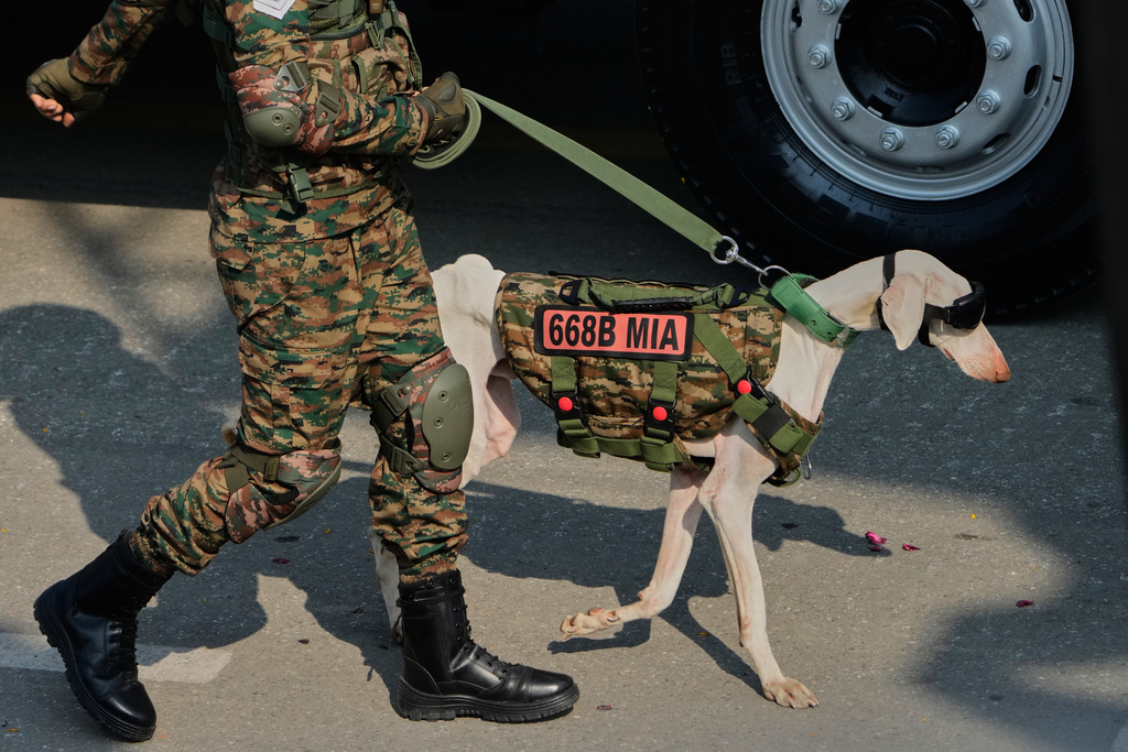 An Indian army soldier with a sniffer dog marches during the Republic Day parade celebrations in New Delhi, India, Monday, Jan. 26, 2026. (AP Photo/Manish Swarup)