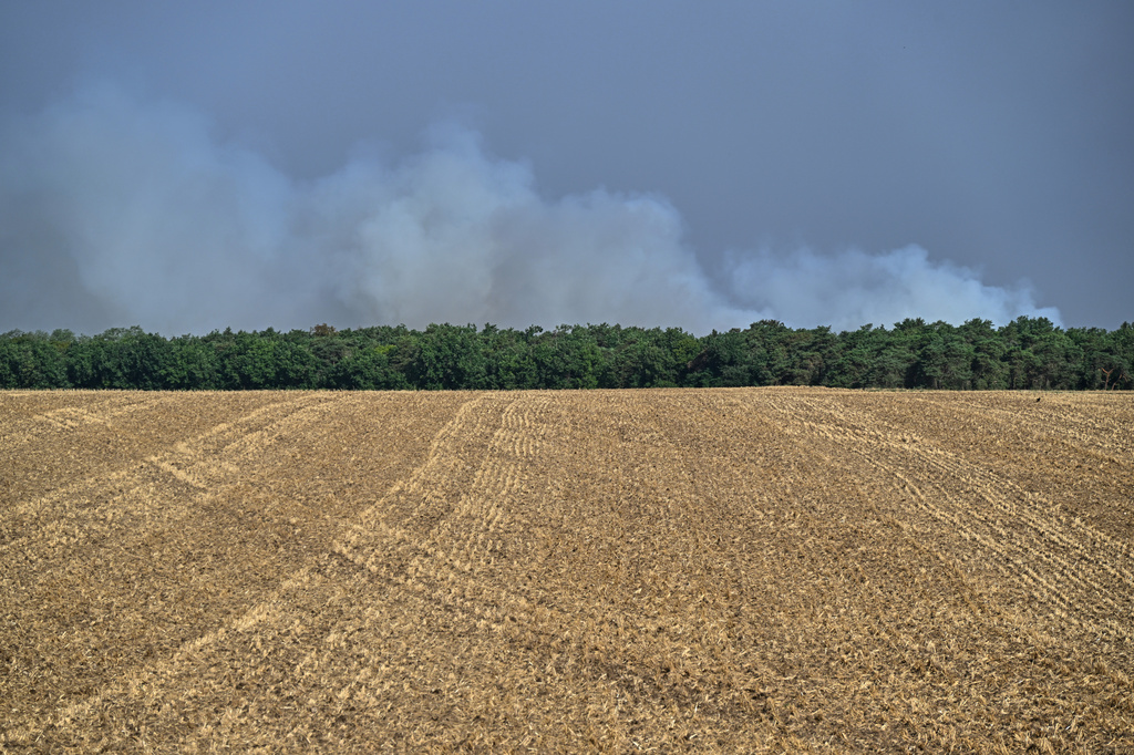 Smoke billows rise into the sky during wildfires at the historic Fontainebleau forest, about 60 km (37 miles) south of Paris, France, Monday, July 13, 2026. (AP Photo/Emma Da Silva)