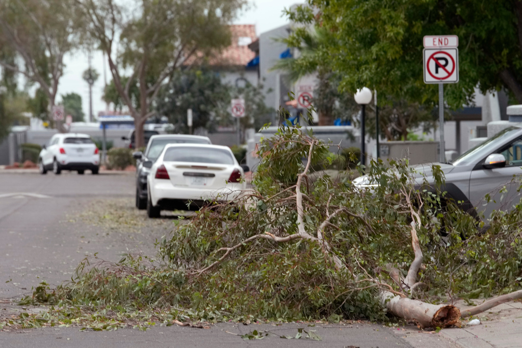 Tree debris obstructs part of a street as storms caused damage at a local apartment complex, Wednesday, Oct. 21, 2026, in Mesa, Ariz. (AP Photo/Ross D. Franklin)