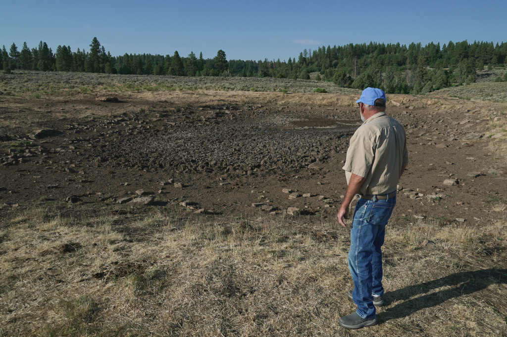Scott Snyder looks at a dry stock pond on his grazing allotment, July 16, 2026 near Montrose, Colo. (AP Photo/Brittany Peterson)