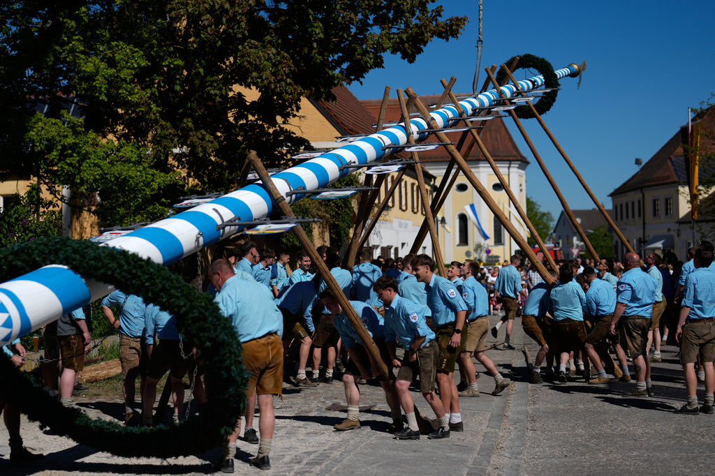 Young men wear leather trousers as they erect a traditional May pole in Kuehbach, Germany, Friday, May 1, 2026. (AP Photo/Matthias Schrader)