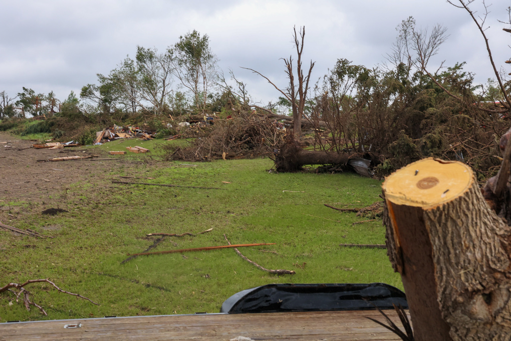 Many trees are stripped and uprooted on June 25, 2025 following the EF5 tornado in Enderlin, N.D. (North Dakota Governor's Office via AP)